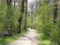Grossansicht in neuem Fenster: Radfahren am Würmkanal Grossansicht in neuem Fenster: Radfahren am Würmkanal
