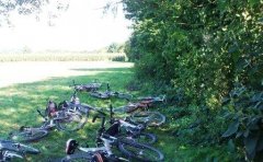 Grossansicht in neuem Fenster: liegende Fahrräder auf einer Wiese