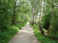 Grossansicht in neuem Fenster: Radweg am Schwarzhölzl