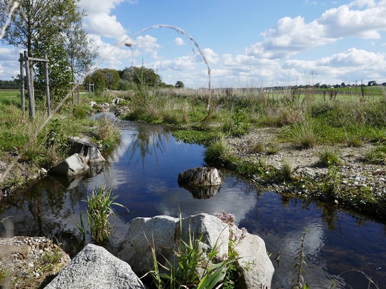 FlurNatur - Förderung von Maßnahmen für artenreiche Landschaften