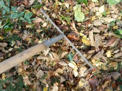 Herbstliches Laub – ein wertvoller Gartenhelfer Herbstliches Laub – ein wertvoller Gartenhelfer