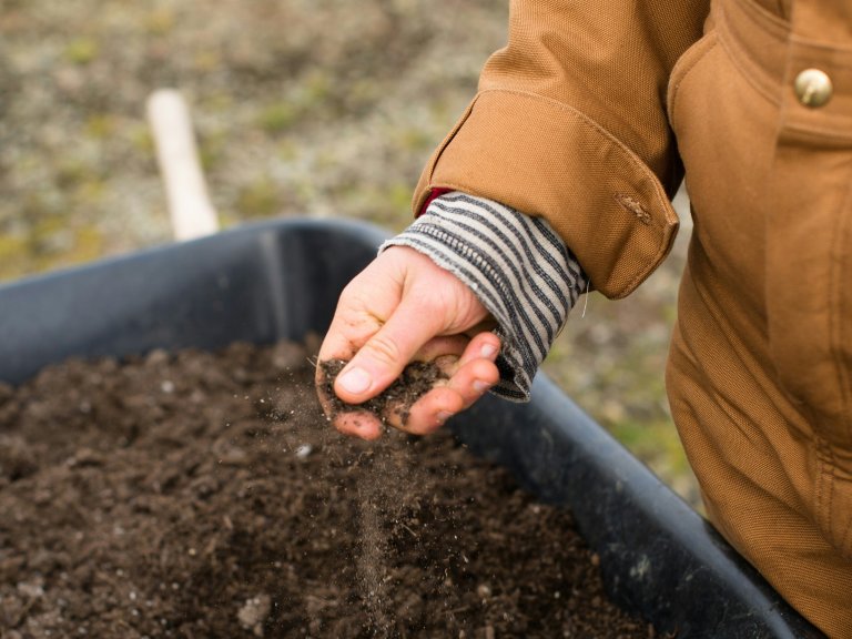 Torffreies Gärtnern – Ein Beitrag zum Umweltschutz im Frühjahr