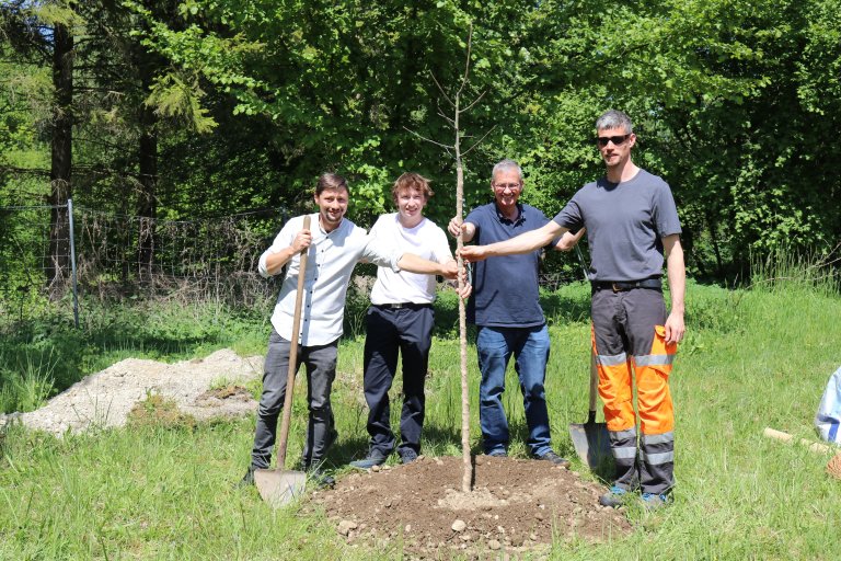 Baumpflanzaktion des Jugendrates Karlsfelds