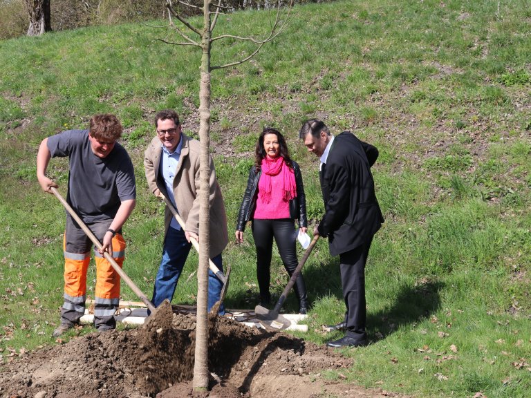 Baum statt Karte – HR Team Consult GmbH setzt auf grüne Zukunft in Karlsfeld