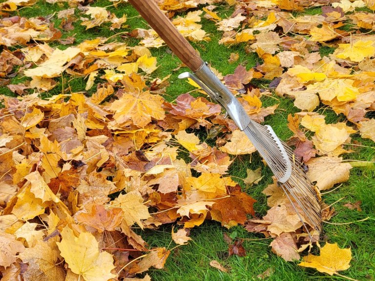 Herbstlaub im Garten – wertvoll statt lästig